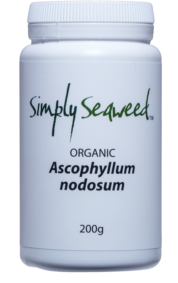 Download Saw Palmetto PNG Image with No Background - PNGkey.com