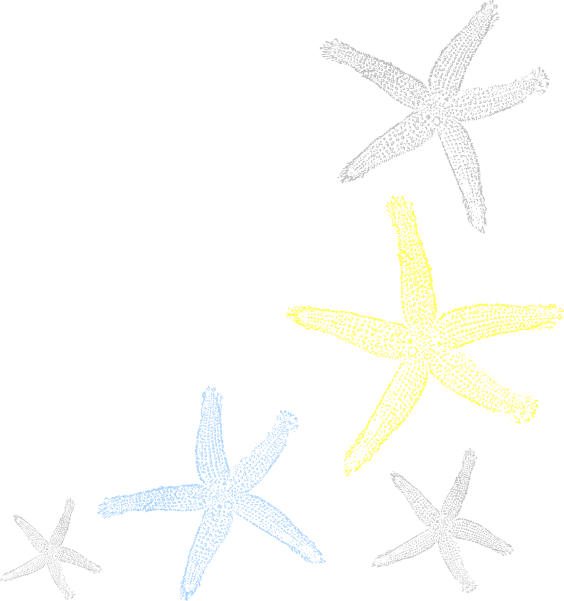 Sea Corner Border Png (564x601), Png Download