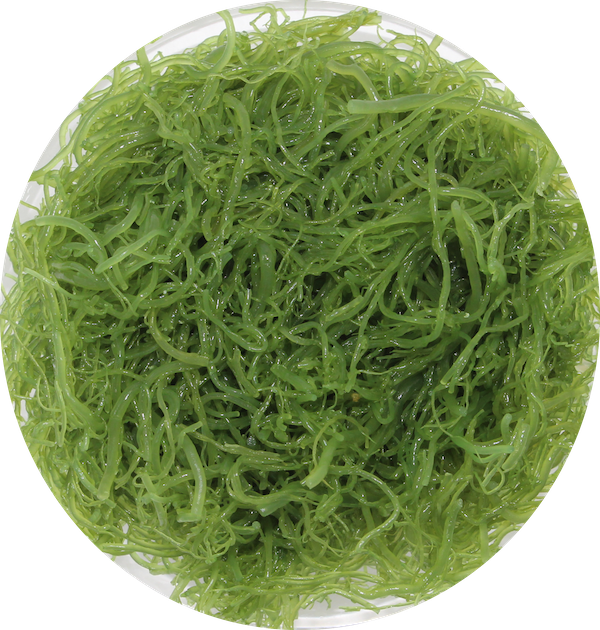 Artificial Turf (600x630), Png Download