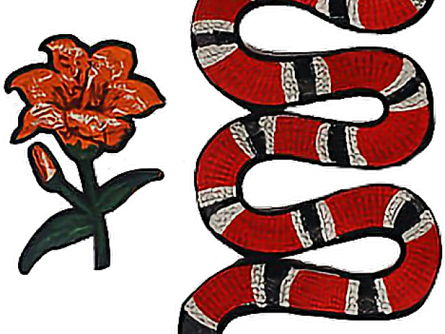 Gucci Clipart Corn Snake - Snake Iron On Patch (640x480), Png Download