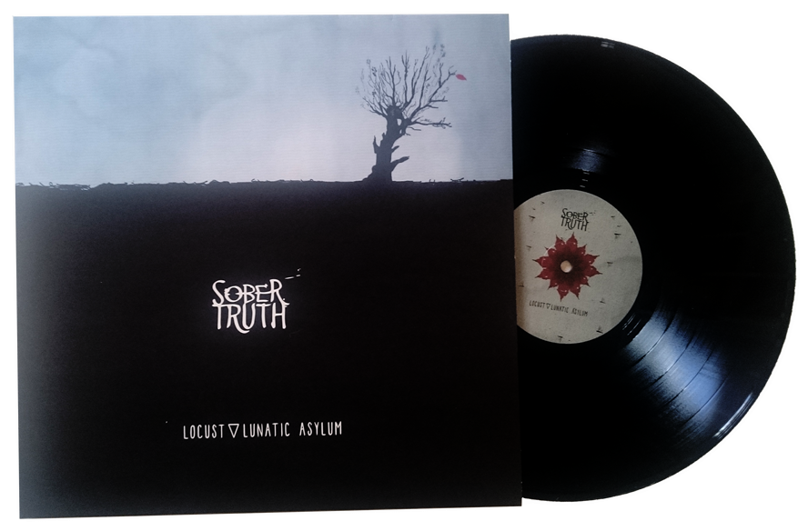 Vinyl Locust Lunatic Asylum - Circle (924x733), Png Download