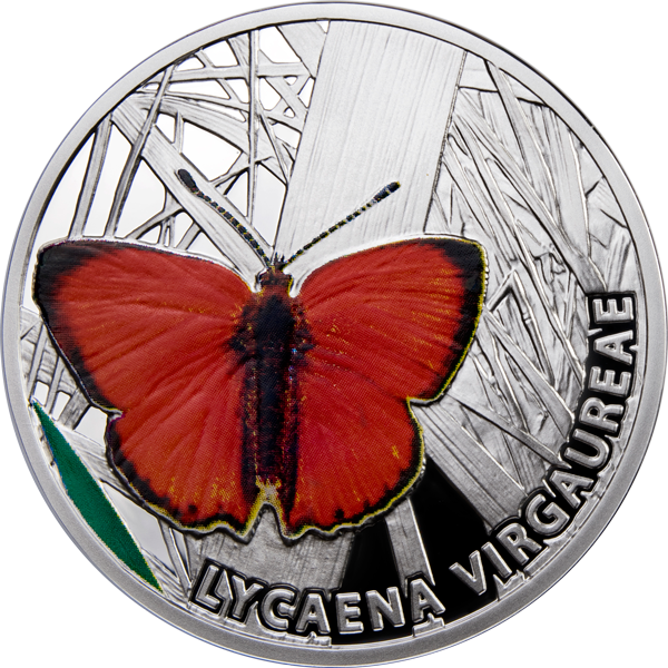 Niue 2010 1$ Scarce Copper Butterflies Proof Silver - Lycaenid (600x600), Png Download