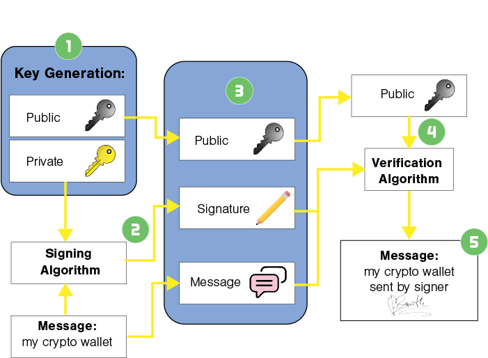 How Transaction Works Wallet - Diagram (800x545), Png Download