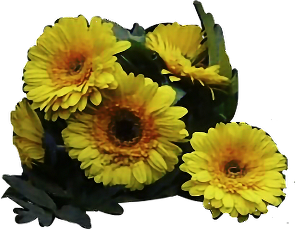 Twentyonepilots Sticker - Twenty One Pilots Flower (1024x797), Png Download