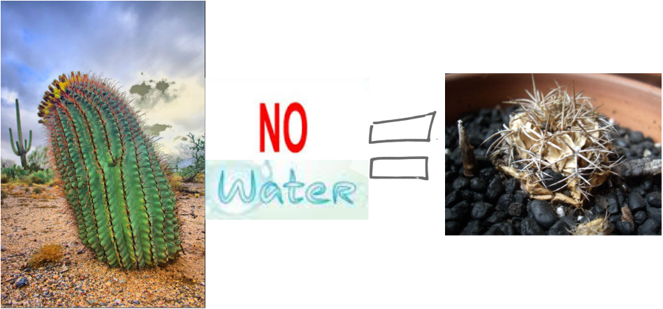 Mojave D﻿esert - Water Clip Art Free (949x443), Png Download