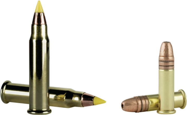 Hollow Point Bullet - Cci 17 Hmr Vnt (770x479), Png Download