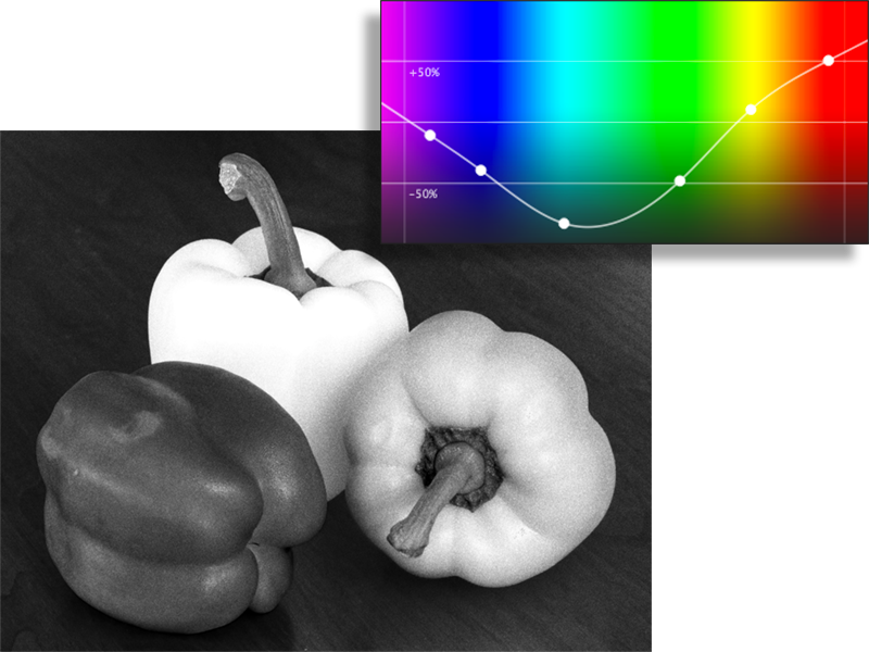Example Of Normal Spectral Response Example Of Red - Winter Squash (800x600), Png Download