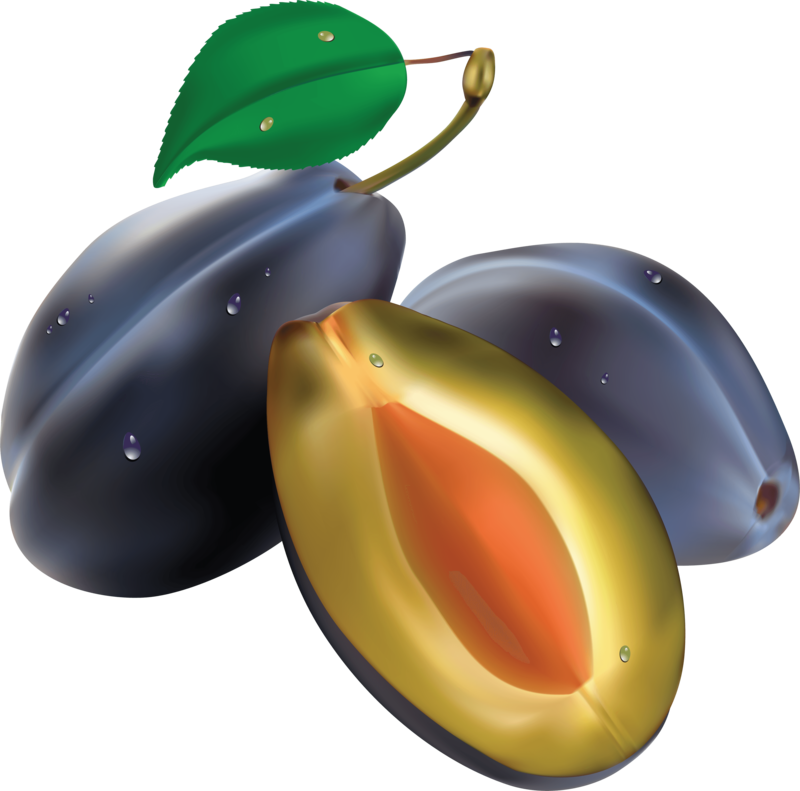 Plum Png Image - Сливы Пнг (800x791), Png Download