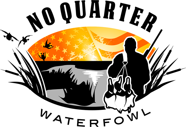 In War, A Victor Gives No Quarter - Illustration (793x540), Png Download