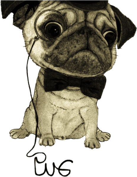 Pug Dibujo Png - Señor Pug (600x600), Png Download