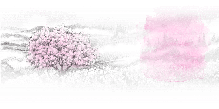 And So It Is With Smoke Tree Wines - Cherry Blossom (768x400), Png Download