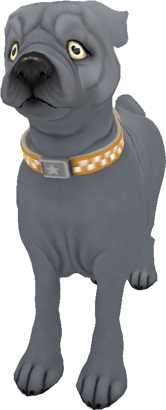 Pug Silversolid - Pug (574x864), Png Download
