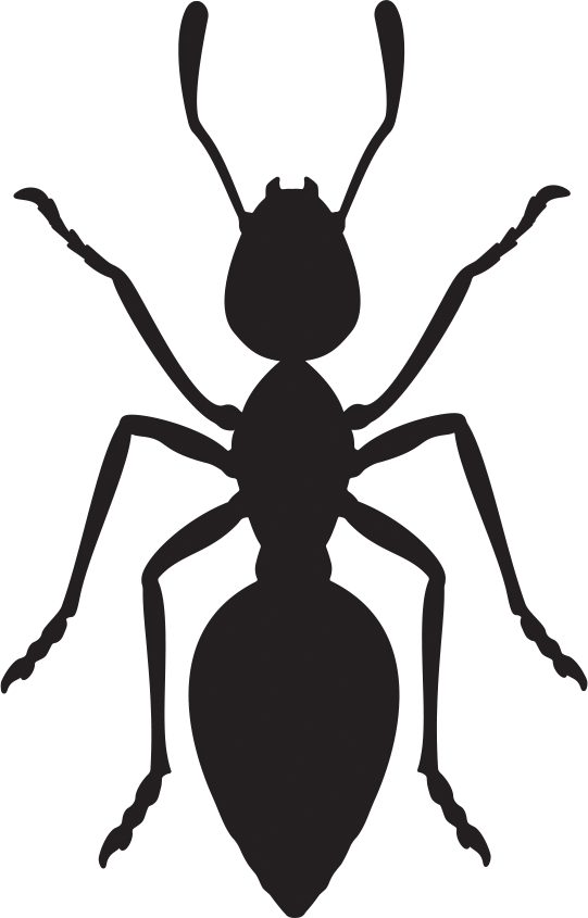 Is Your Agency An Ant - Ants Vector Png (541x845), Png Download