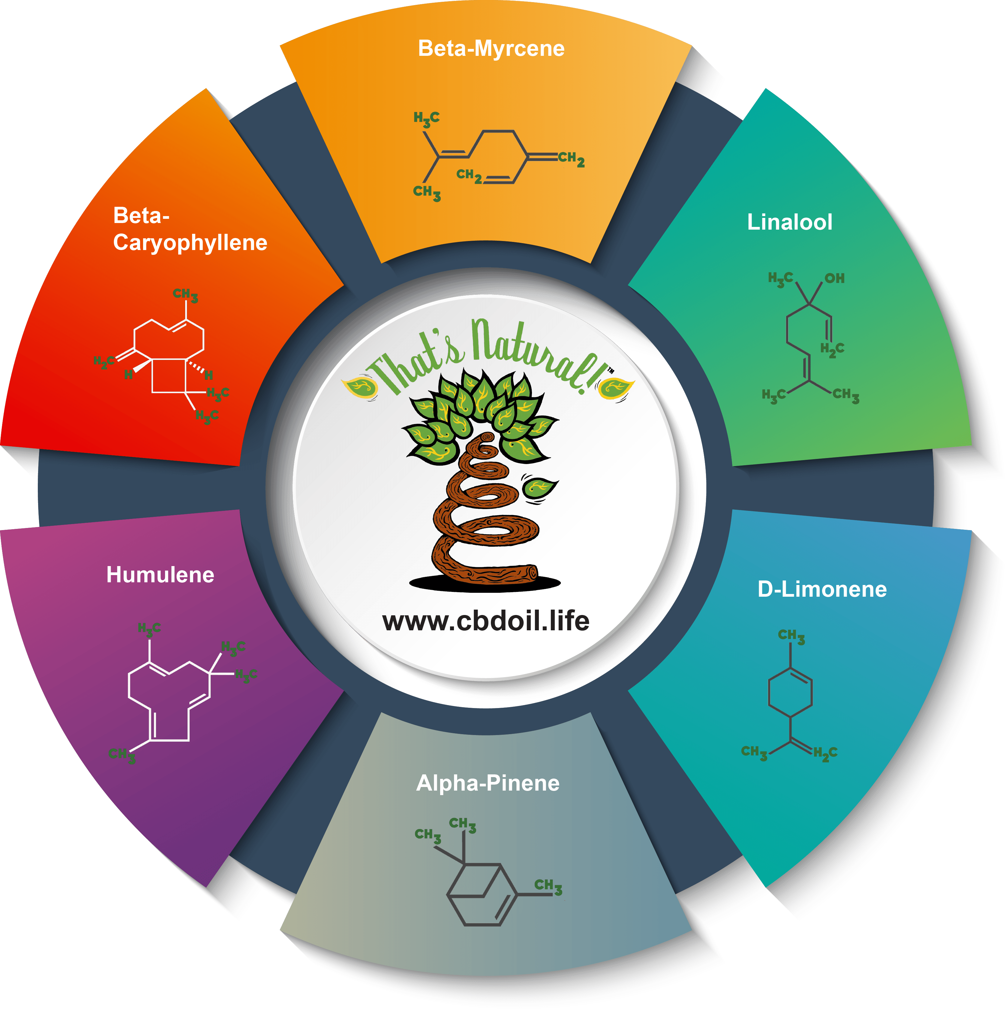Major Terpenes In Natural Full-spectrum Cbd (3353x3365), Png Download