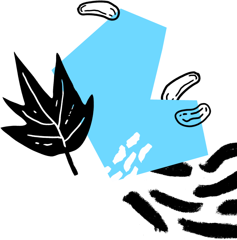 Maple Cashew Paleo Protein Snacks (833x970), Png Download