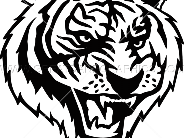 Drawn White Tiger Transparent - Illustration (640x480), Png Download