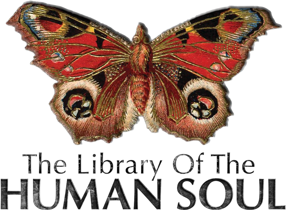 Logo Og - Vintage Butterfly Tattoo (1000x1019), Png Download