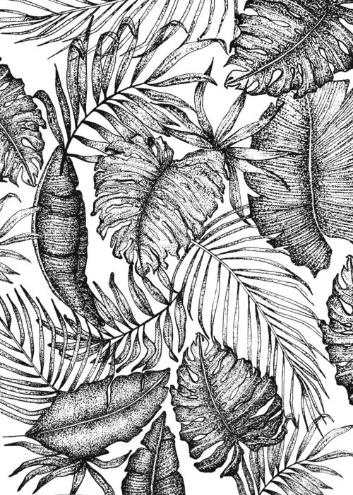 Bleed Area May Not Be Visible - Tropical Leaf Print Drawing (500x700), Png Download