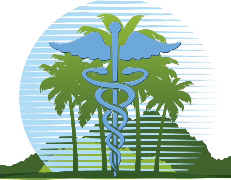 Hawaii- The West Maui Hospital Foundation, Formed To - Logo Timely Medical Clinic (800x645), Png Download