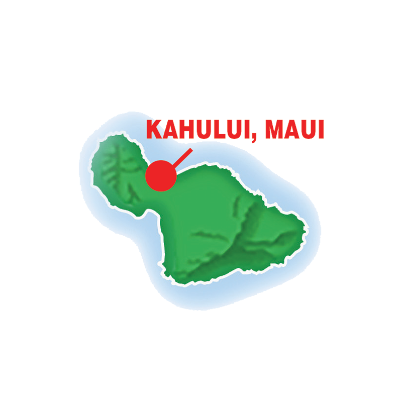 Maui - Illustration (800x800), Png Download