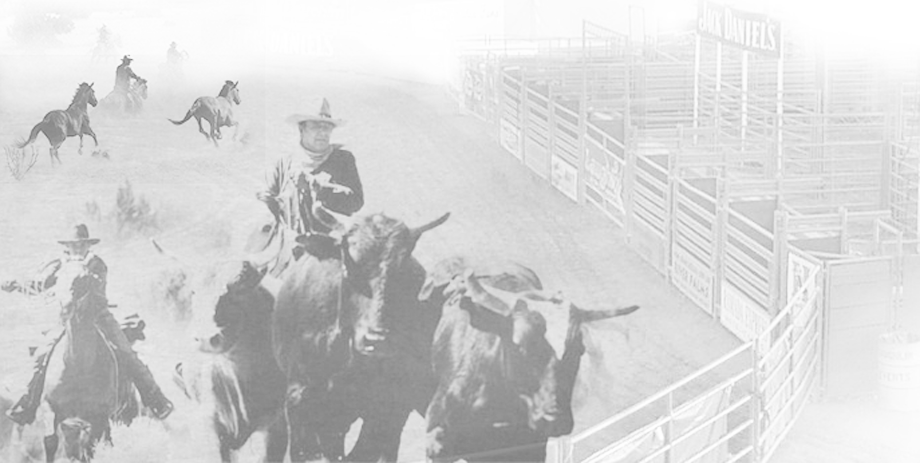 Portable Livestock Arena And Buckin Chutes - Bull Riding (920x463), Png Download