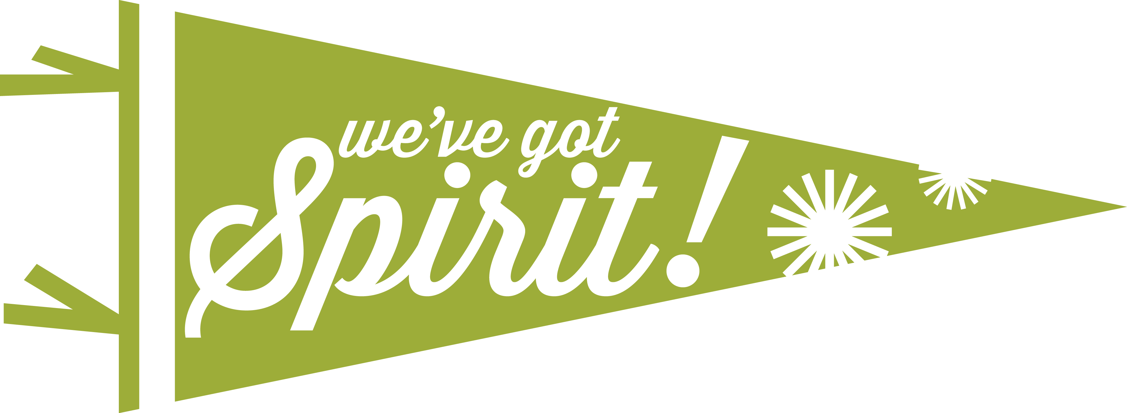 080116 Druidhillsspirit Starlogo - We Got Spirit (3794x1393), Png Download