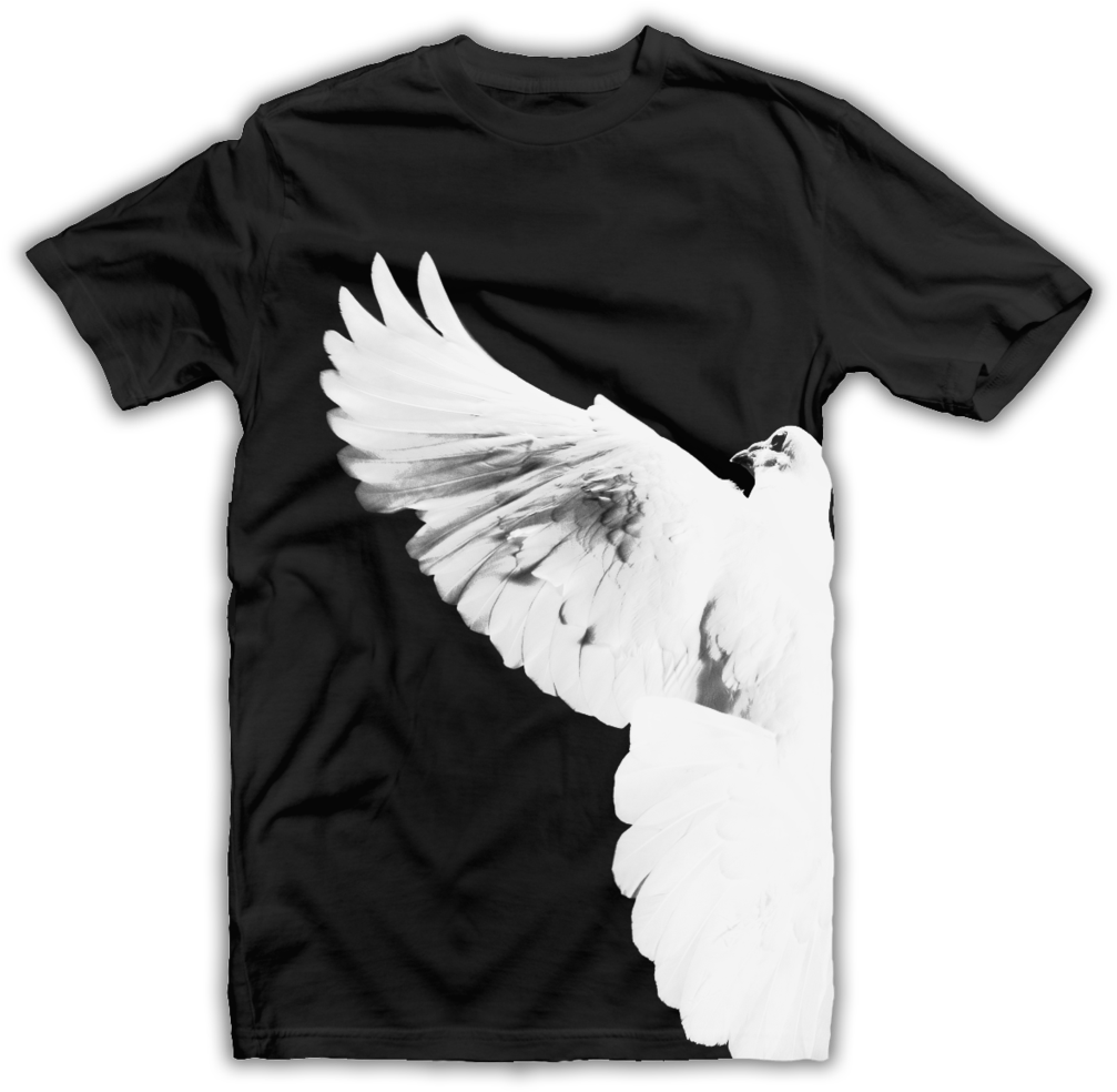 Dove - Parrot (1024x1024), Png Download