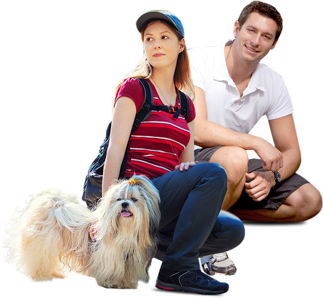 We Partner With Rescues And Animal Control Agencies - Kim Eul Dong (1553x775), Png Download