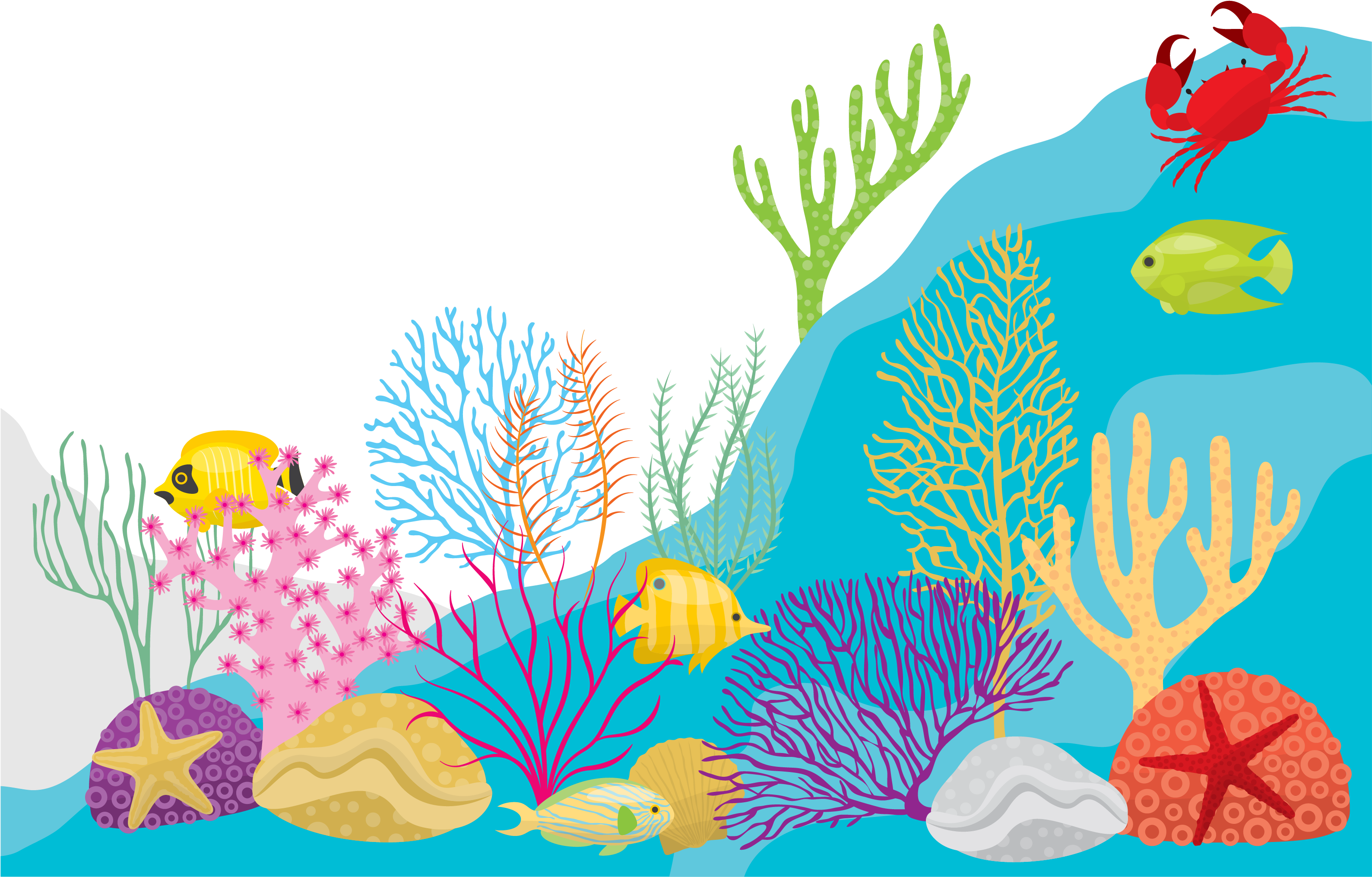 Clip Art (3433x2366), Png Download