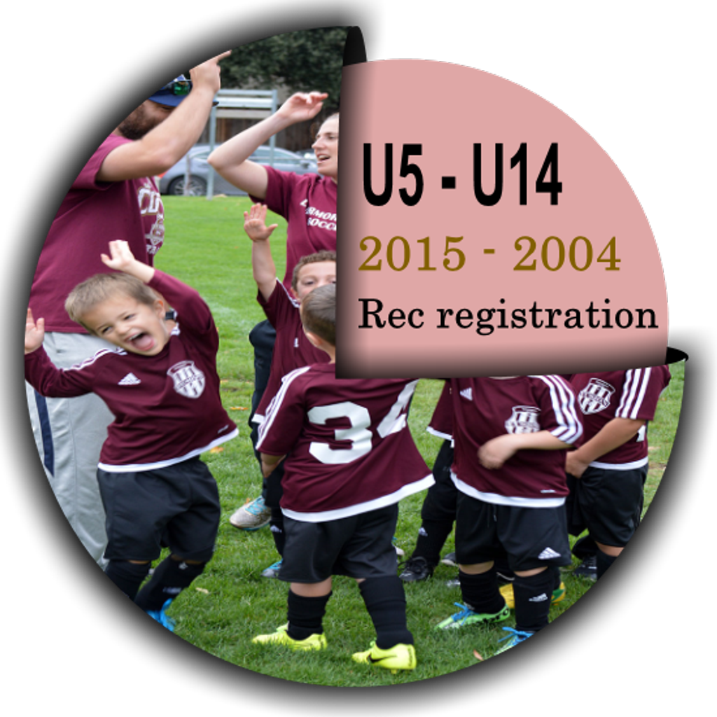 Please Click On The Correct Age Group Button - Team (1024x1024), Png Download
