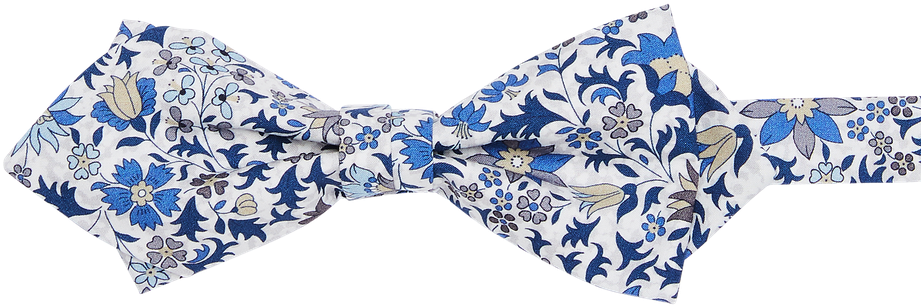 Get The Liberty Godington Garden Bowtie In Blue Online - Paisley (960x1440), Png Download
