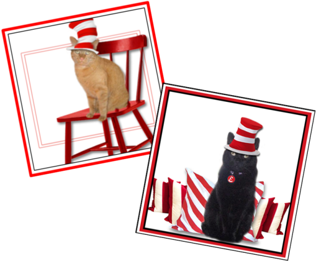 Wally Ernie Dr - Cat Grabs Treat (617x510), Png Download