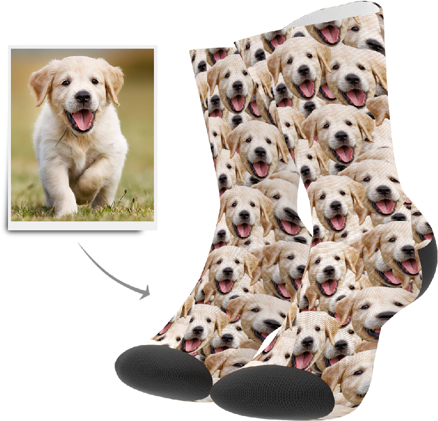 Face Mash Dog - Dalmatian (1000x1000), Png Download