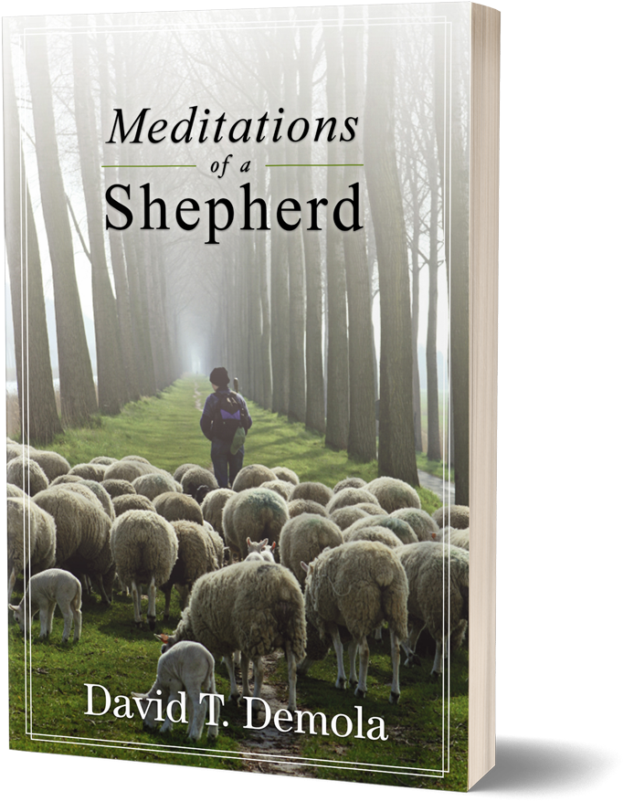 Meditations Of A Shepherd - Bighorn (1000x1018), Png Download