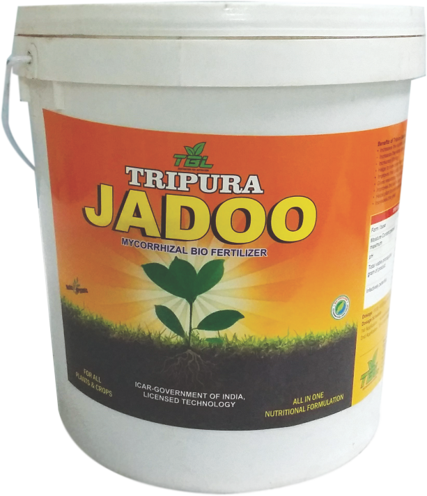 Kelp (613x713), Png Download