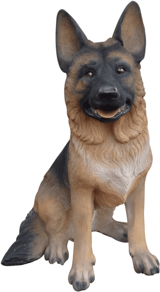 Dog German Shepherd Sitting Animal Prop Life Size Décor - Old German Shepherd Dog (768x1024), Png Download