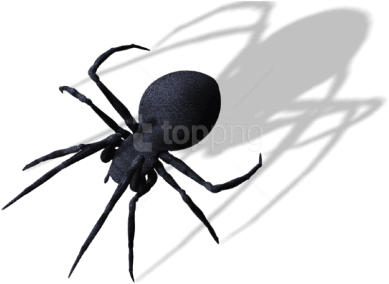 Free Png Spider Png Images Transparent - Spider Png (850x637), Png Download