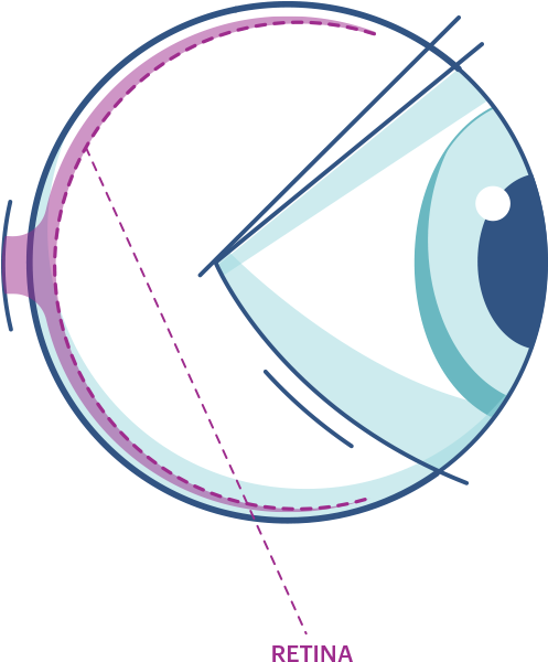 Accommodation Of To Different - Circle (1000x720), Png Download