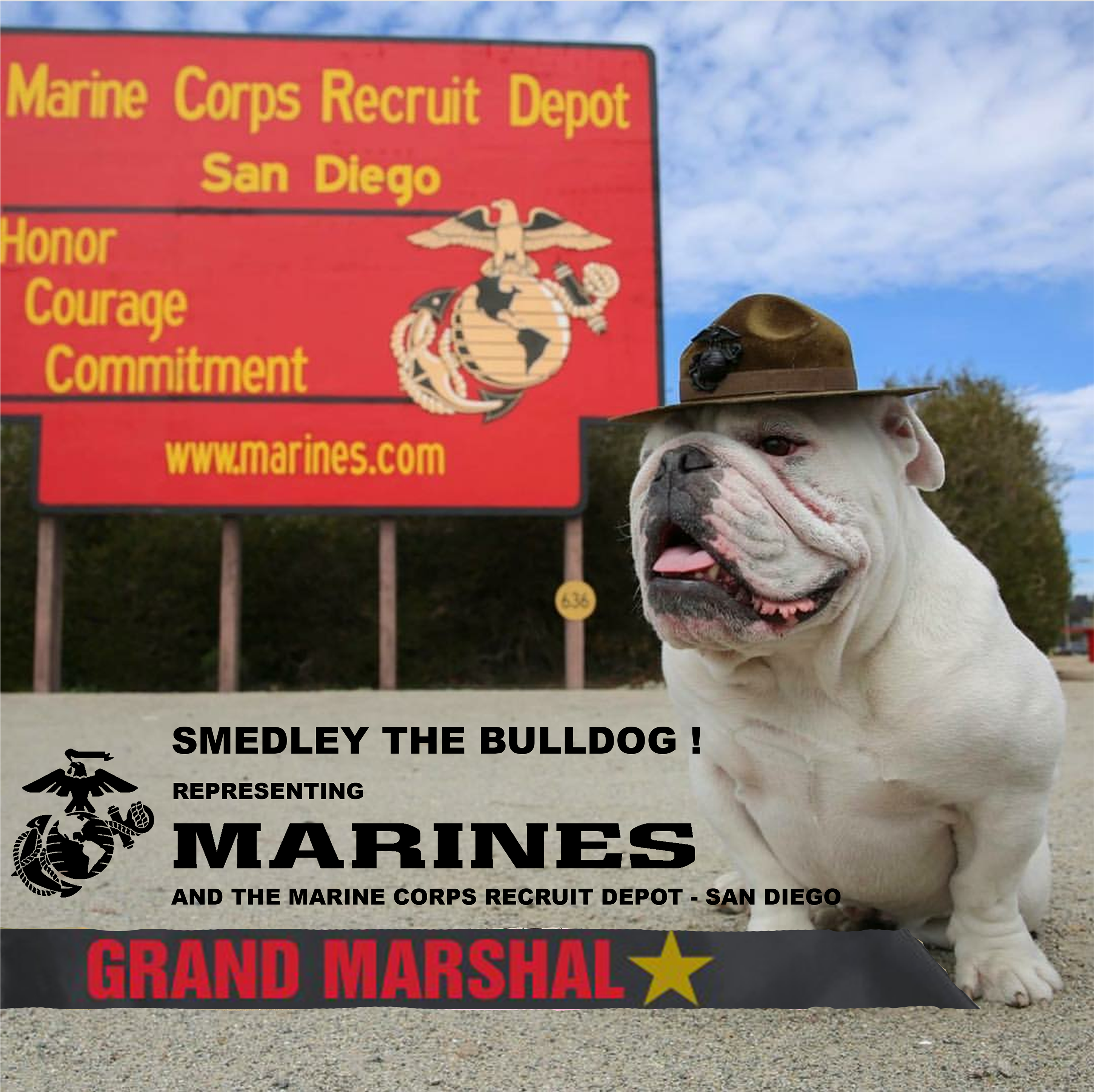 Come And Say Hi To Our Special Guests Celebrities, - Olde English Bulldogge (4623x2892), Png Download