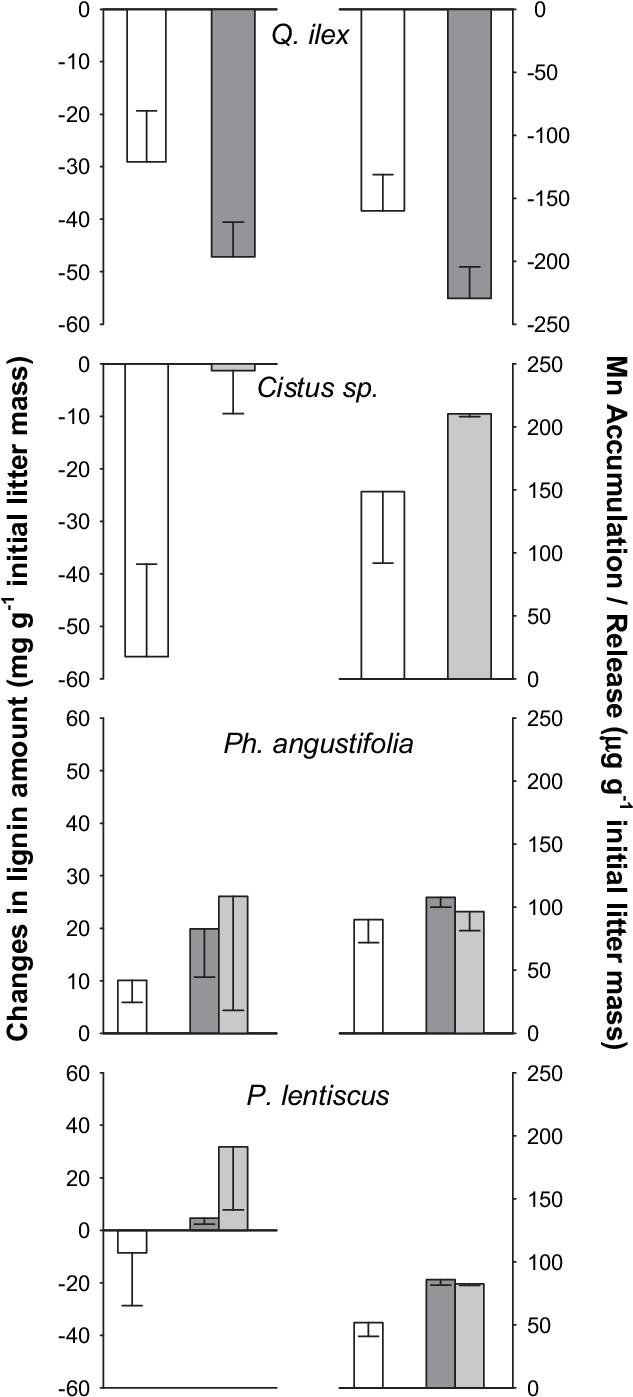 Changes, Over 403 Days Litter Incubation In Situ, In - Diagram (638x1405), Png Download