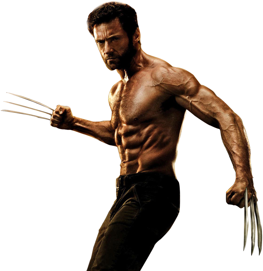 The Wolverine 2013 Movie Render By Shazly250 D5ke1fd - Hugh Jackman Wolverine Png (851x877), Png Download