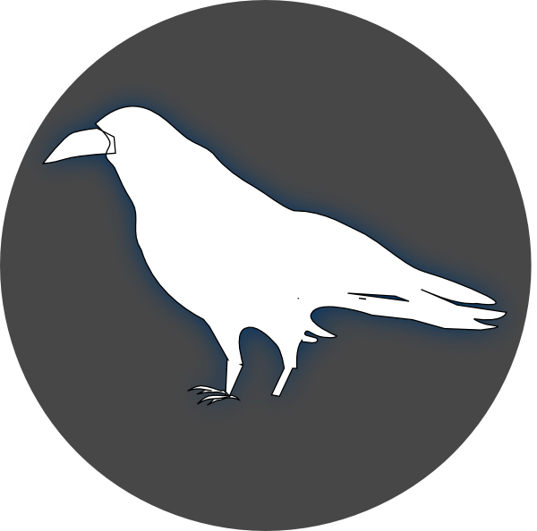 Raven Black Clip Art - White Raven Clipart (600x594), Png Download