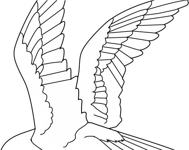 Drawn Raven Flying - Birds Lineart (640x480), Png Download