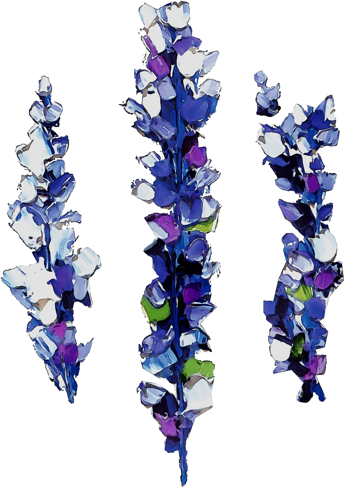 Purple Abziehtattoo Lavender Violet Hq Image Free Png - Лаванда Тату (2220x2220), Png Download
