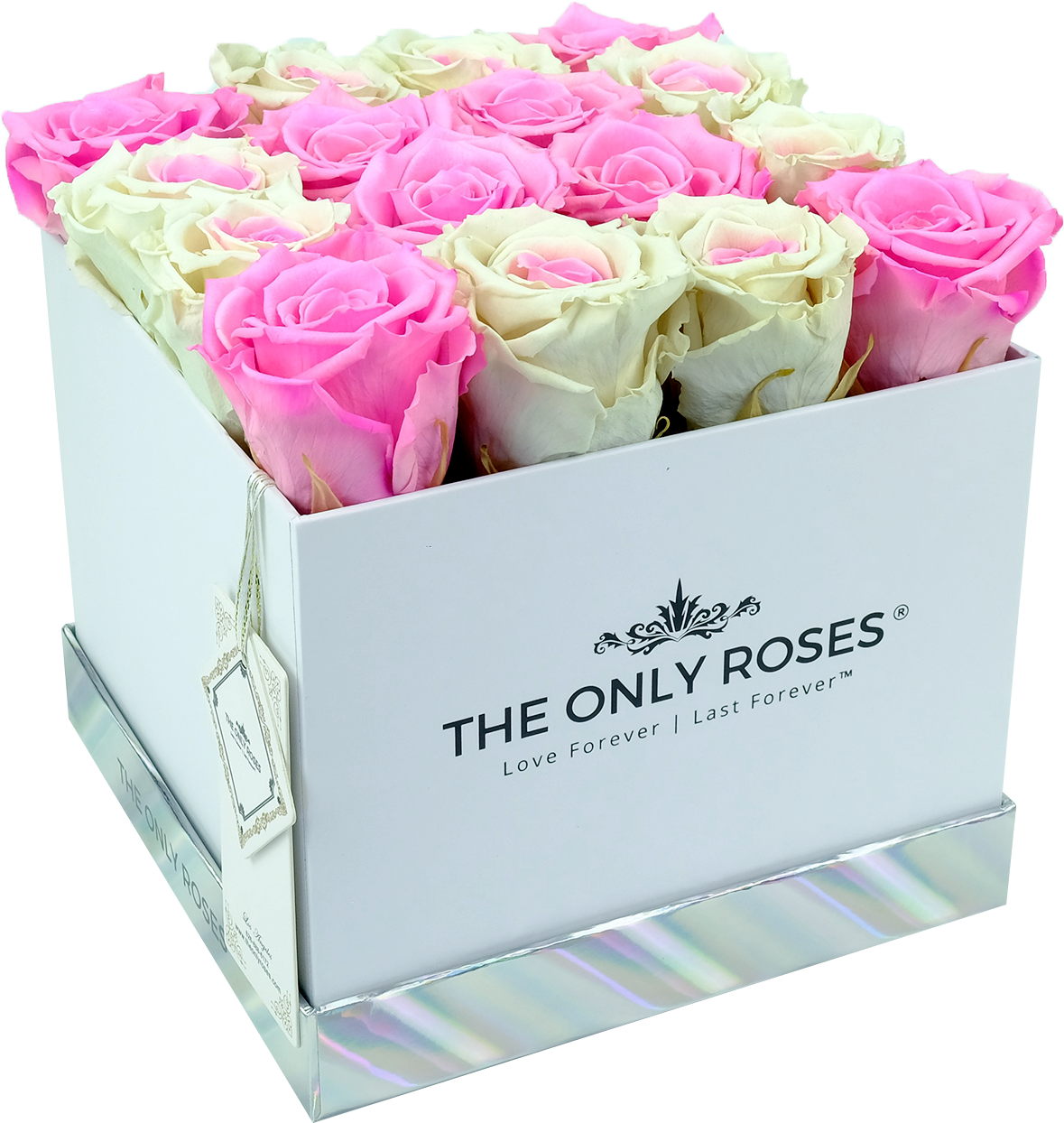 Special Pink And White Preserved Roses - Garden Roses (2048x2048), Png Download