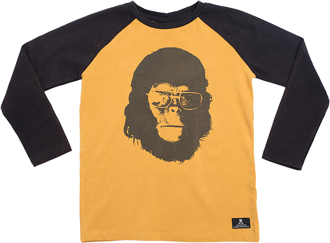 Ryk W19 - Planet Of The Apes Sunglasses (700x700), Png Download
