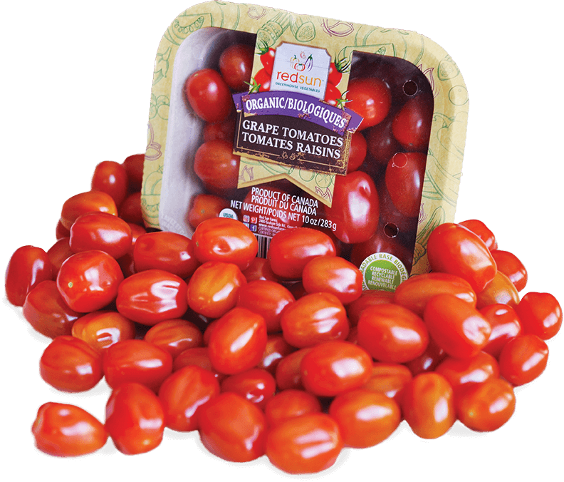 Grape Tomatoes - Cherry Tomatoes (792x676), Png Download