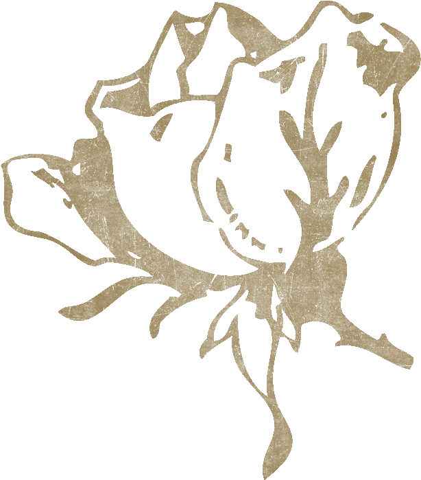 Brown Photo Sp Vintageflorals Rosestamp Brown - Mother Love In Arabic (764x824), Png Download