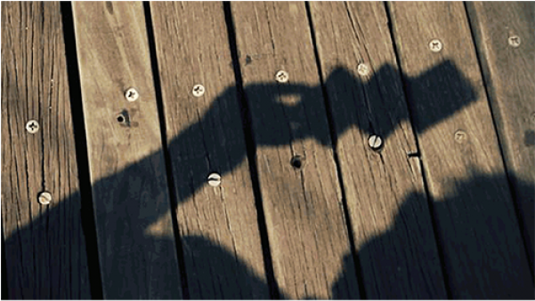 Plank (600x600), Png Download