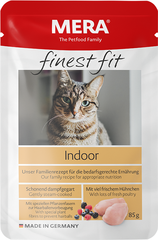 New - Cat (650x850), Png Download